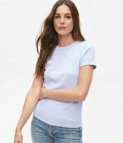 Michael Stars Lexy Periwinkle Rib Crew Neck Tee Tops