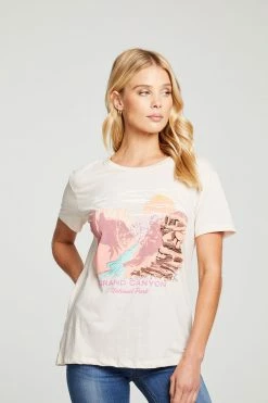 CHASER Grand Canyon Recycled Vintage Jersey Everybody Tee Tops