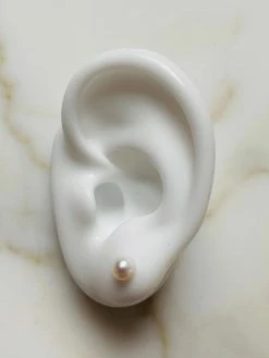 Studio ST000016 ACCESSORIES