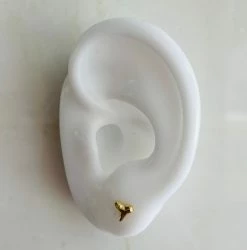 Studio ST000024 ACCESSORIES