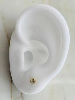 Studio ACCESSORIES ST000030