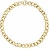 Sahira Hunter Chunky Chain Necklace ACCESSORIES