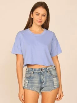 Vintage Havana Garment Dye Periwinkle Boxy Crop Top