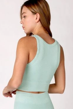 Nikibiki Jevel Vintage Aqua Chevron Highneck Crop Top