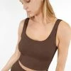 Nikibiki New Vintage Chocolate Chevron Crop Top