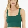Nikibiki New Vintage Jade Chevron Crop Top Tops