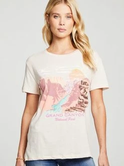 CHASER Grand Canyon Recycled Vintage Jersey Everybody Tee Tops