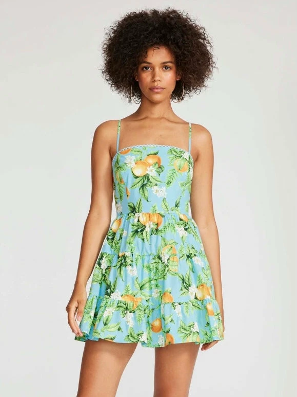 BB Dakota Summer Orchard Dress Dresses 3 BB Dakota Summer Orchard Dress Dresses